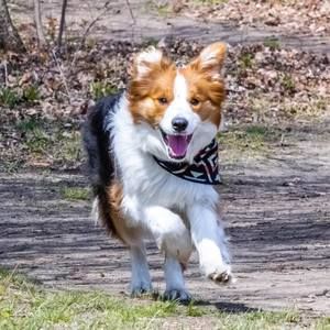 Meet your Posher, Susan